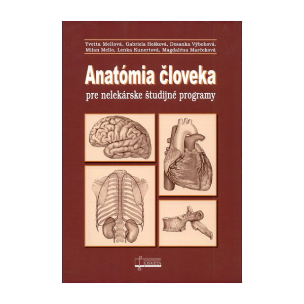 Anatómia človeka pre nelekárske študijné odbory