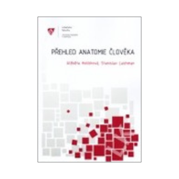 Přehled anatomie člověka