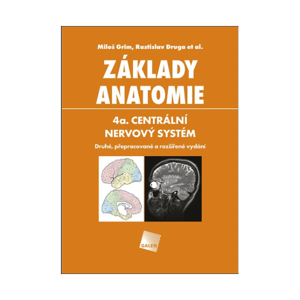 Základy anatomie 4a. Centrální nervový systém