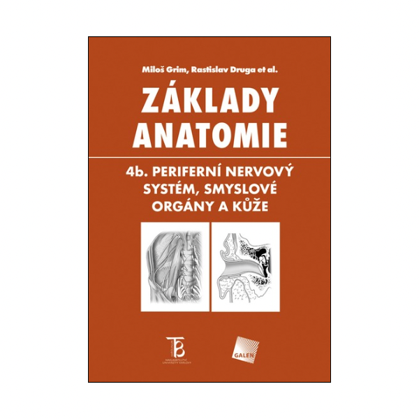 Základy anatomie 4b. Periferní nervový systém, smyslové orgány a kůže 