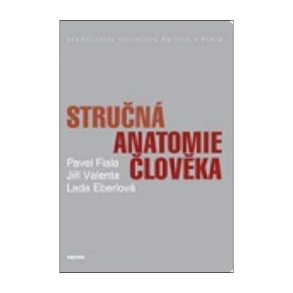 Stručná anatomie člověka