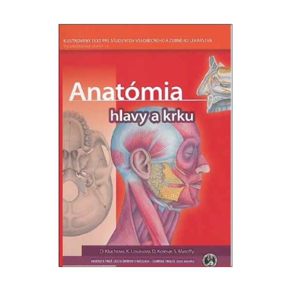 Anatómia hlavy a krku
