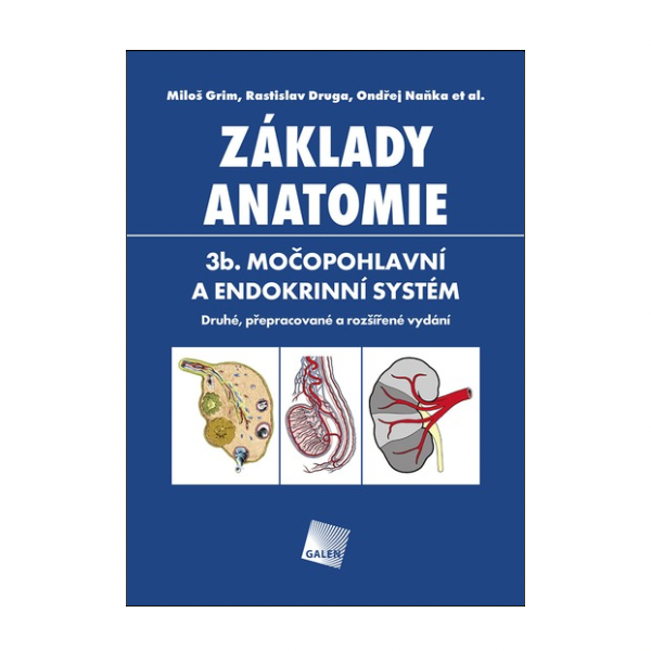 Základy anatomie 3b. Močopohlavní a endokrinní systém, 2. vydání