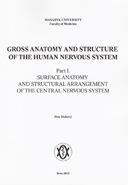 Gross Anatomy and Structure of the Human Nervous System