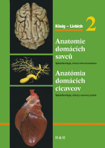 Anatómia domácich cicavcov 2. diel /Anatomie domácích savců 2. diel 