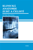 Klinická anatomie zubů a čelistí