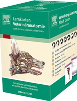 Lernkarten Veterinäranatomie: Veterinary Anatomy Flash Card