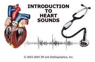 CD.3m Littmann- Introduction To Heart Sounds, Educational CD
