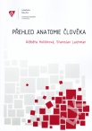 Přehled anatomie člověka