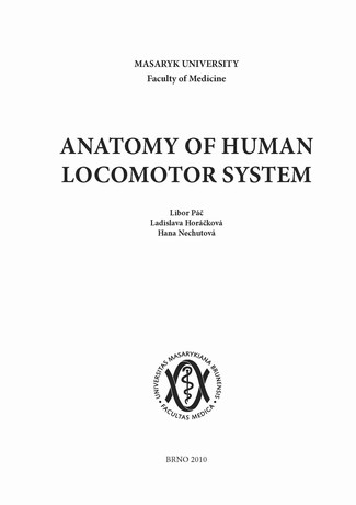 Anatomy of human locomotor system