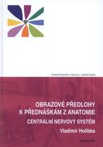 Obrazové předlohy k přednáškám z anatomie. Centrální nervový systém a dráhy, 6.v