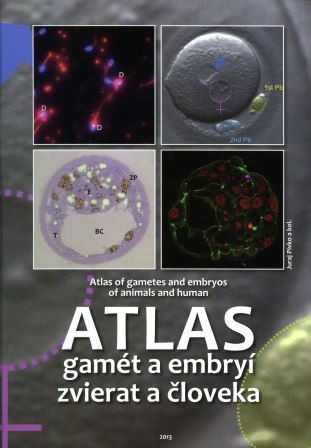 Atlas gamét a embryí zvierat a človeka