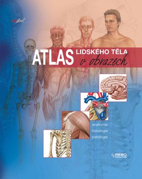 Atlas lidského těla v obrazech