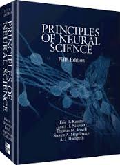 Principles of Neural Science, Fifth Edition