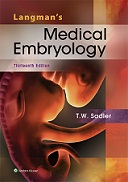 Langman's Medical Embryology 13e