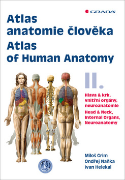 Atlas anatomie člověka II.