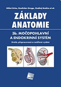 Základy anatomie 3b. Močopohlavní a endokrinní systém 2. vydání