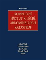 Komplexní přístup k léčbě abdominálních katastrof