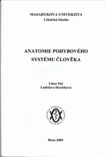 Anatomie pohybového systému člověka