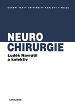 Neurochirurgie