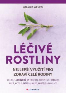 Léčivé rostliny - nejlepší využití pro zdraví celé rodiny