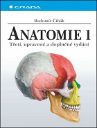 Anatomie 1