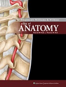 Lippincott Williams & Wilkins Atlas of Anatomy
