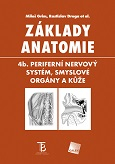 Základy anatomie 4b. Periferní nervový systém, smyslové orgány a kůže 