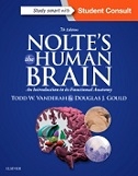 Nolte's The Human Brain, 7th Edition