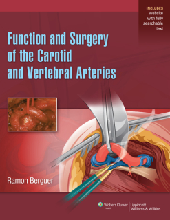 Function and Surgical Repair of the Carotid and Vertebral Arteries