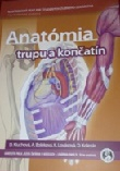 Anatómia trupu a končatín