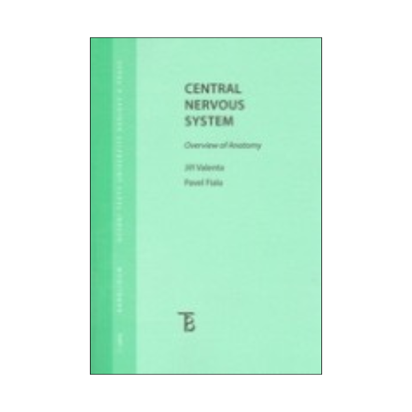 Central nervous system